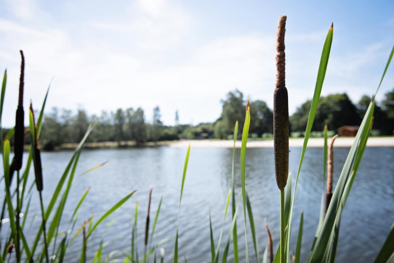 Ferienparadies Muehlenbach โซลเทา ภายนอก รูปภาพ