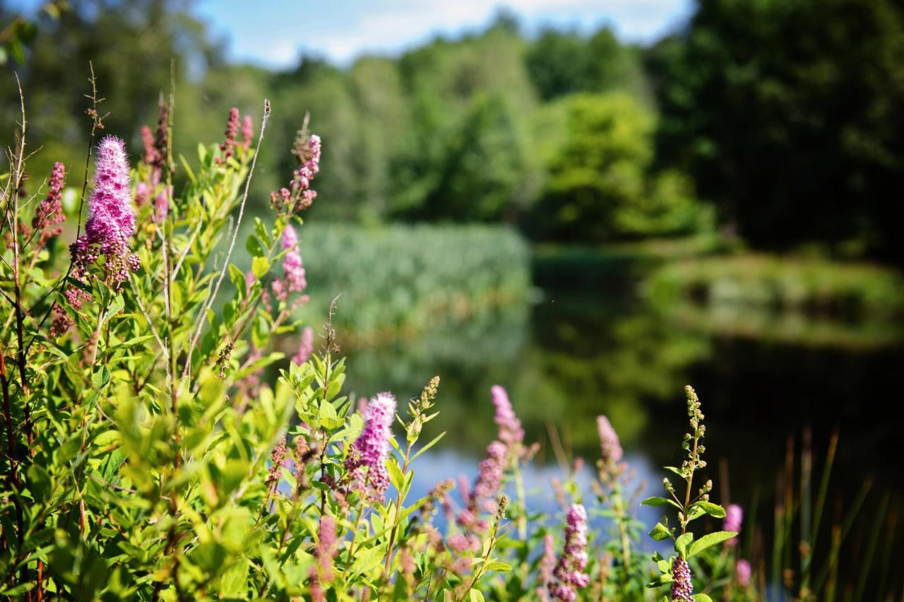 Ferienparadies Muehlenbach โซลเทา ภายนอก รูปภาพ