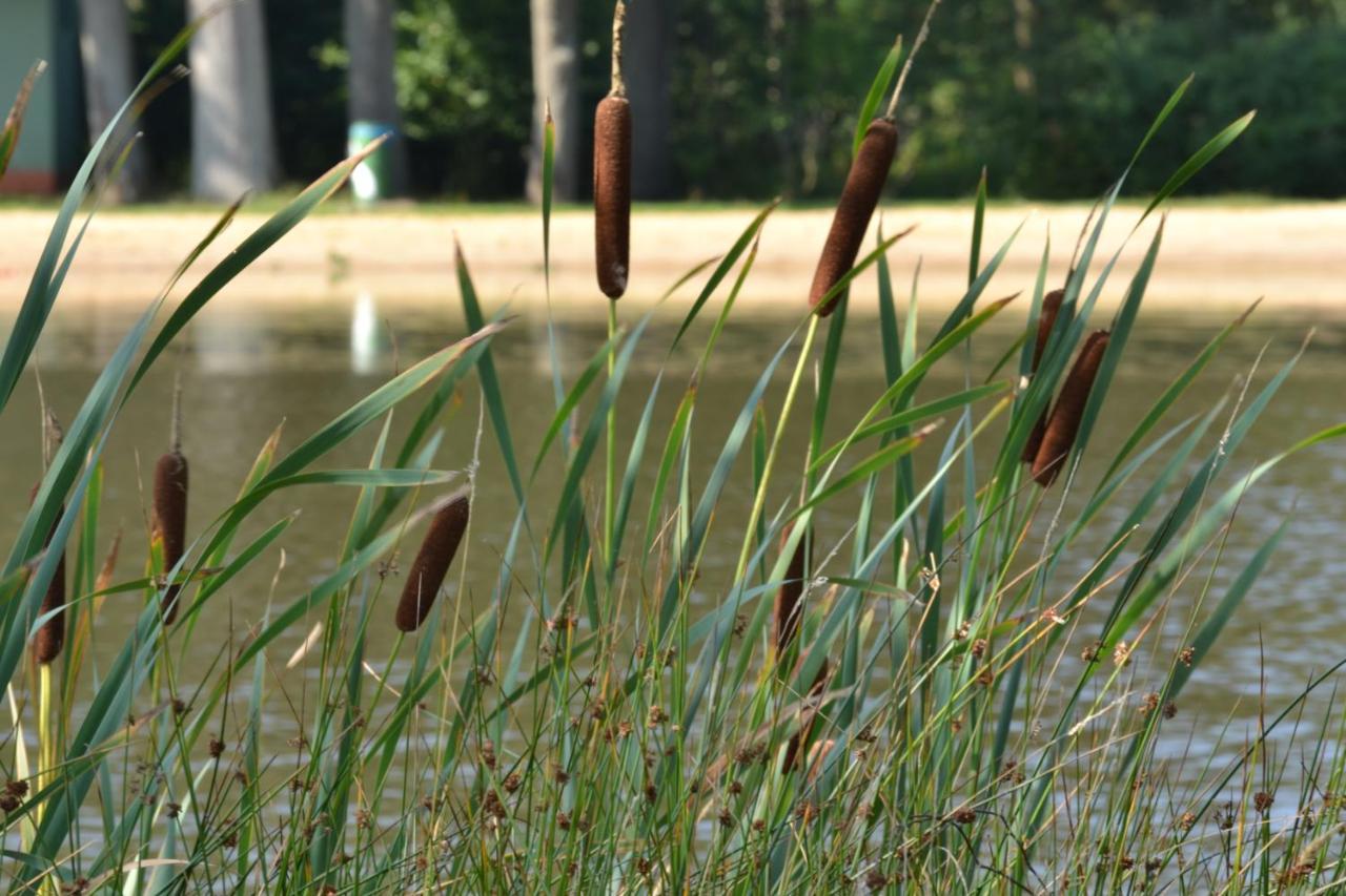 Ferienparadies Muehlenbach โซลเทา ภายนอก รูปภาพ