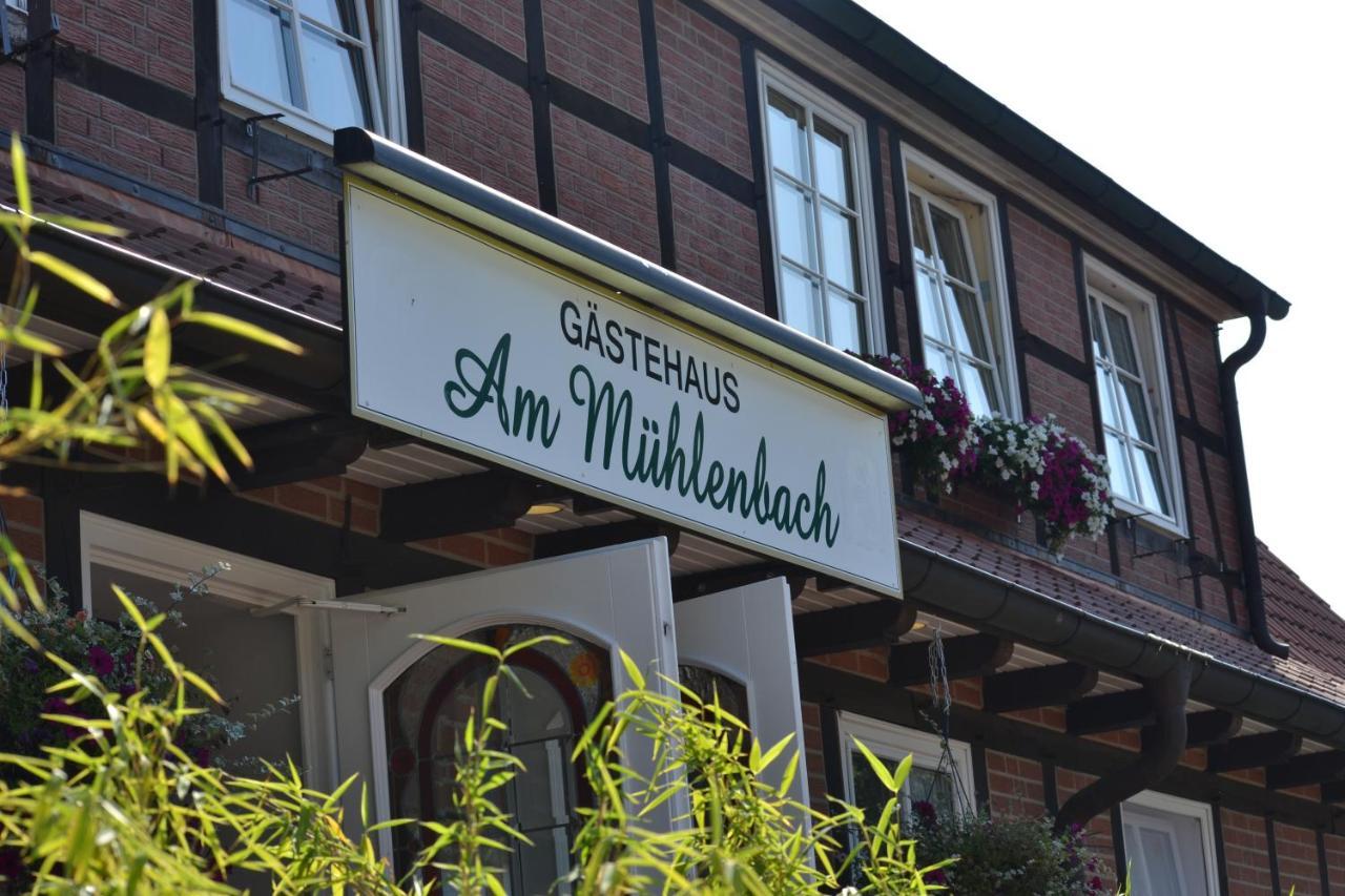 Ferienparadies Muehlenbach โซลเทา ภายนอก รูปภาพ