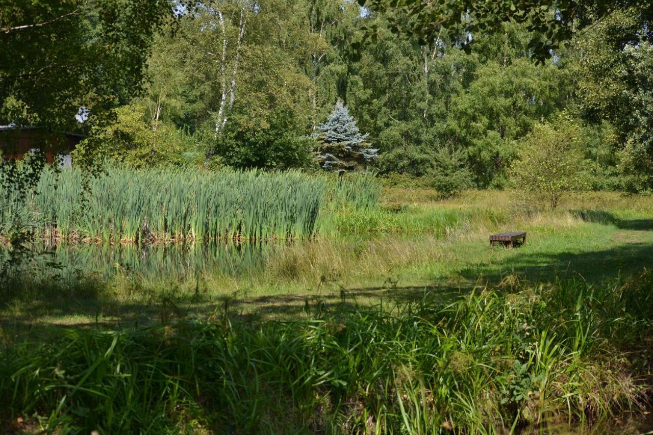 Ferienparadies Muehlenbach โซลเทา ภายนอก รูปภาพ